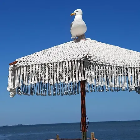 Σπίτι διακοπών Romantisch Nabij Het Met Uitzicht Op De Tulpenvelden Julianadorp
