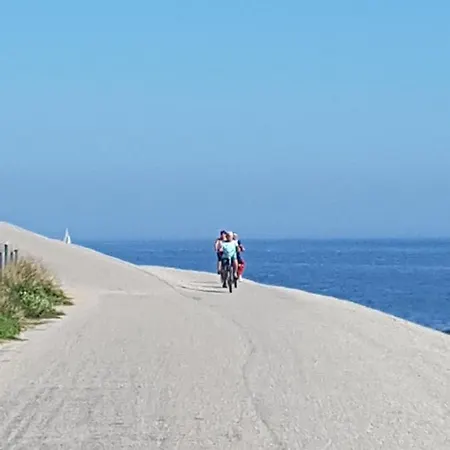 Romantisch Nabij Het Met Uitzicht Op De Tulpenvelden 朱丽安娜多普