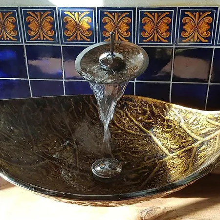 Romantisch Nabij Het Met Uitzicht Op De Tulpenvelden Julianadorp