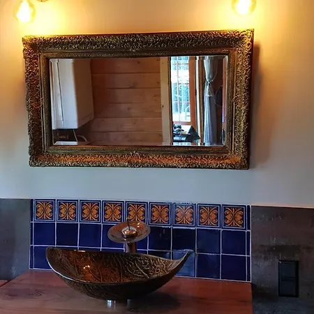 Romantisch Nabij Het Met Uitzicht Op De Tulpenvelden