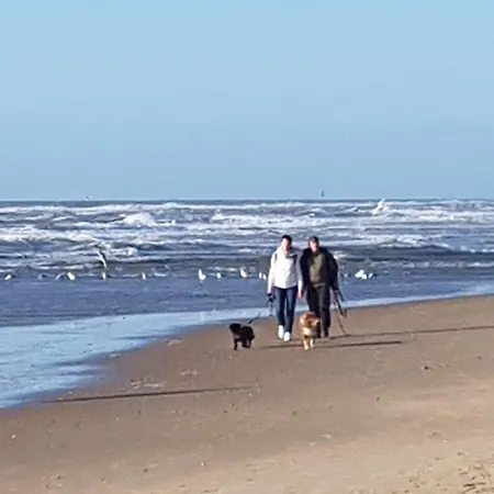 Romantisch Nabij Het Met Uitzicht Op De Tulpenvelden 度假居 *