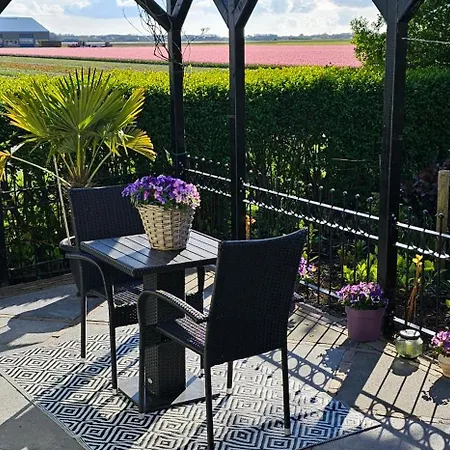 Romantisch Nabij Het Met Uitzicht Op De Tulpenvelden Julianadorp