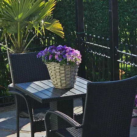 Romantisch Nabij Het Met Uitzicht Op De Tulpenvelden * Julianadorp