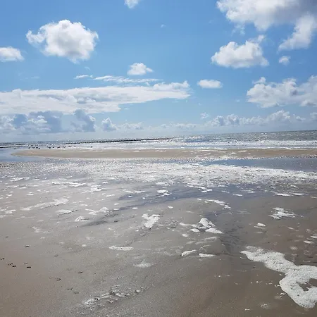 Romantisch Nabij Het Met Uitzicht Op De Tulpenvelden *