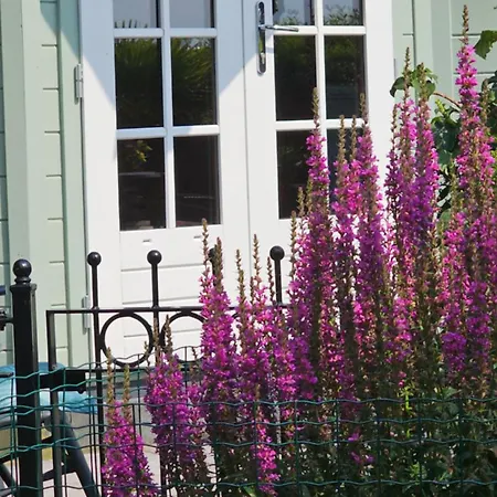 Prázdninový dům Romantisch Nabij Het Met Uitzicht Op De Tulpenvelden