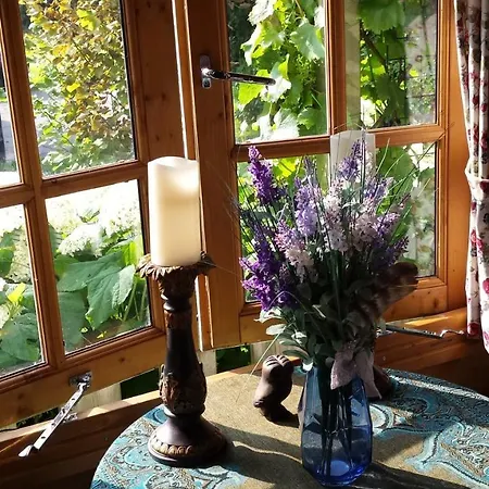 Romantisch Nabij Het Met Uitzicht Op De Tulpenvelden 度假居 朱丽安娜多普