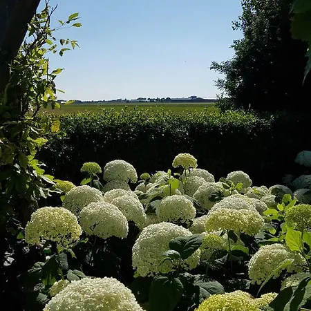 Romantisch Nabij Het Met Uitzicht Op De Tulpenvelden 度假居 朱丽安娜多普