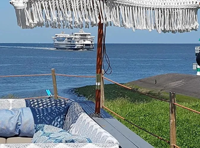 Romantisch Nabij Het Met Uitzicht Op De Tulpenvelden