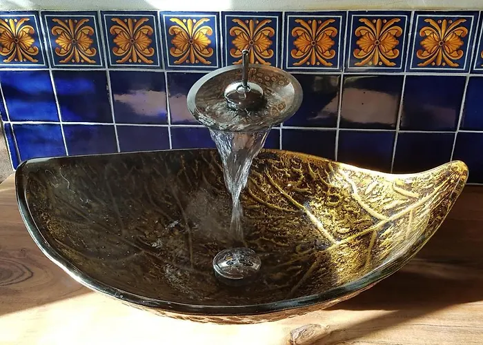 Romantisch Nabij Het Met Uitzicht Op De Tulpenvelden 朱丽安娜多普