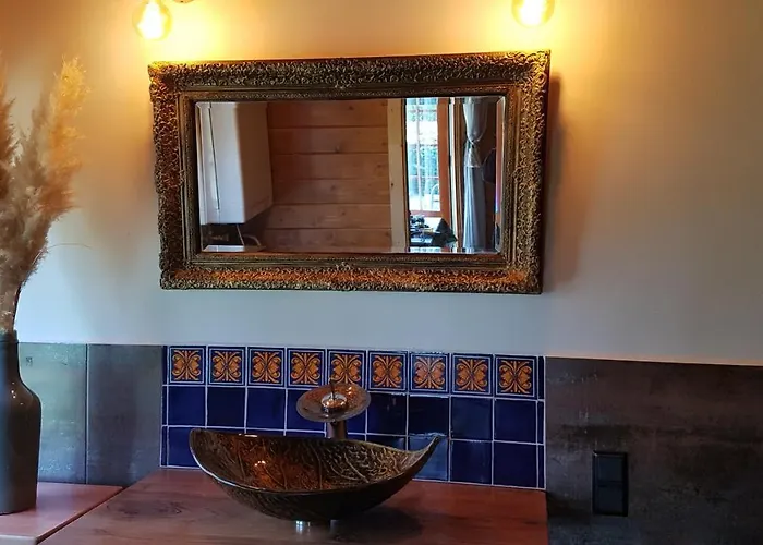 Romantisch Nabij Het Met Uitzicht Op De Tulpenvelden