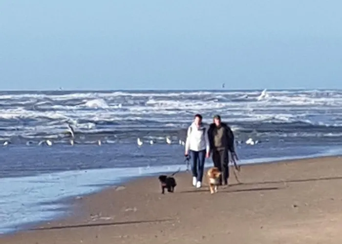 Romantisch Nabij Het Met Uitzicht Op De Tulpenvelden 度假居 *