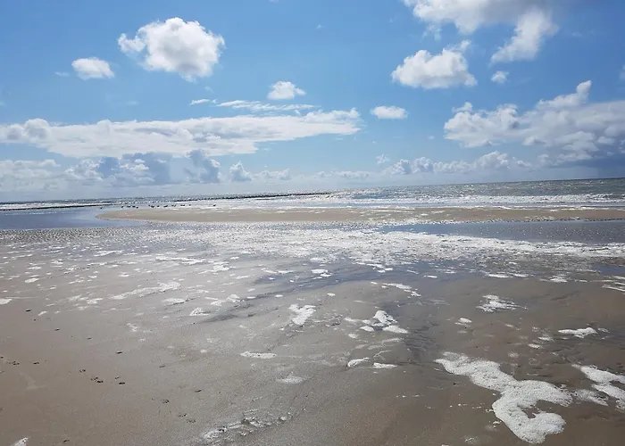Romantisch Nabij Het Met Uitzicht Op De Tulpenvelden *
