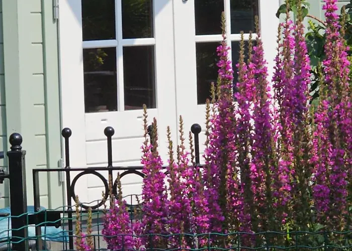 度假居 Romantisch Nabij Het Met Uitzicht Op De Tulpenvelden