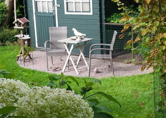 Romantisch Nabij Het Met Uitzicht Op De Tulpenvelden * 朱丽安娜多普