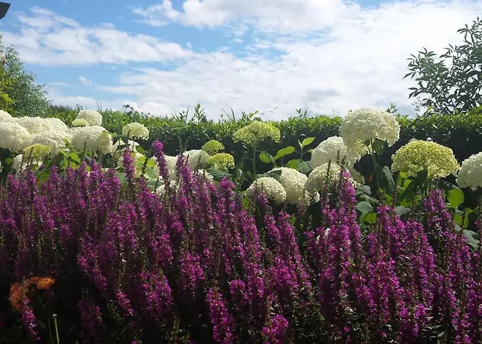 Romantisch Nabij Het Met Uitzicht Op De Tulpenvelden * 朱丽安娜多普