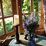 Romantisch Nabij Het Met Uitzicht Op De Tulpenvelden Σπίτι διακοπών Julianadorp