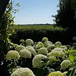 Romantisch Nabij Het Met Uitzicht Op De Tulpenvelden Σπίτι διακοπών Julianadorp