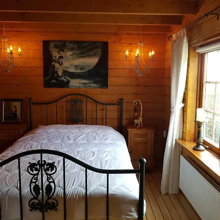 Romantisch Nabij Het Met Uitzicht Op De Tulpenvelden