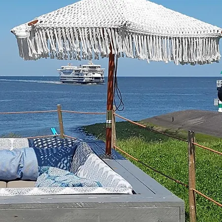 Romantisch Nabij Het Met Uitzicht Op De Tulpenvelden