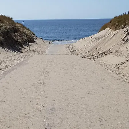 Romantisch Nabij Het Met Uitzicht Op De Tulpenvelden *