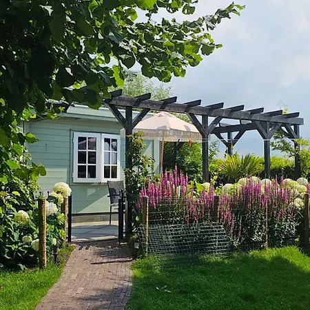 Romantisch Nabij Het Met Uitzicht Op De Tulpenvelden