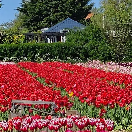 Romantisch Nabij Het Met Uitzicht Op De Tulpenvelden 펜션 줄리아나도르프