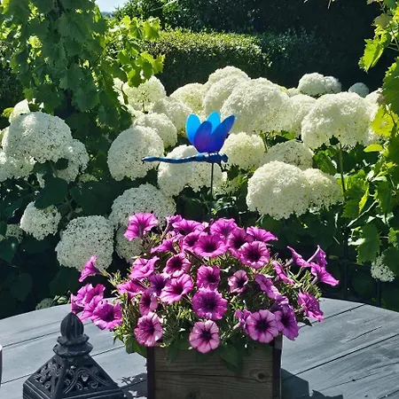 Romantisch Nabij Het Met Uitzicht Op De Tulpenvelden 펜션