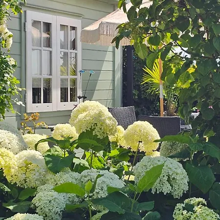 Romantisch Nabij Het Met Uitzicht Op De Tulpenvelden 펜션 줄리아나도르프