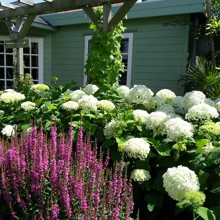 Romantisch Nabij Het Met Uitzicht Op De Tulpenvelden