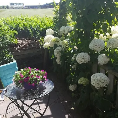 Romantisch Nabij Het Met Uitzicht Op De Tulpenvelden * 줄리아나도르프
