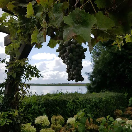 펜션 Romantisch Nabij Het Met Uitzicht Op De Tulpenvelden