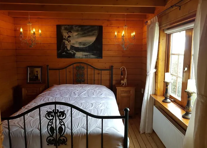 Romantisch Nabij Het Met Uitzicht Op De Tulpenvelden