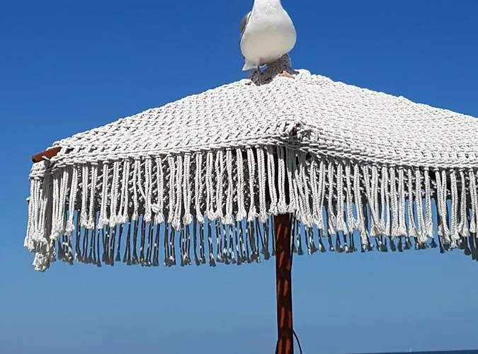 Casa vacanze Romantisch Nabij Het Met Uitzicht Op De Tulpenvelden Julianadorp