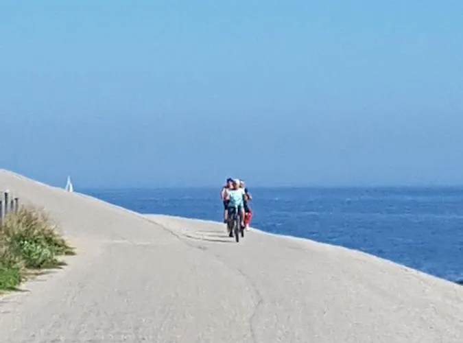 Romantisch Nabij Het Met Uitzicht Op De Tulpenvelden Julianadorp