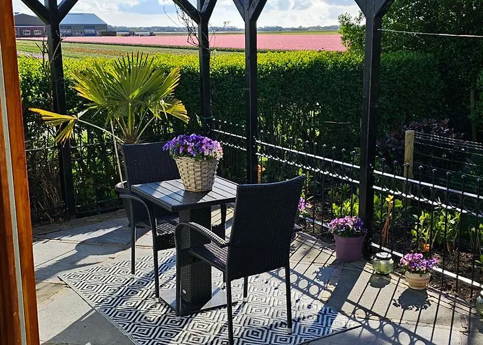 Romantisch Nabij Het Met Uitzicht Op De Tulpenvelden Julianadorp