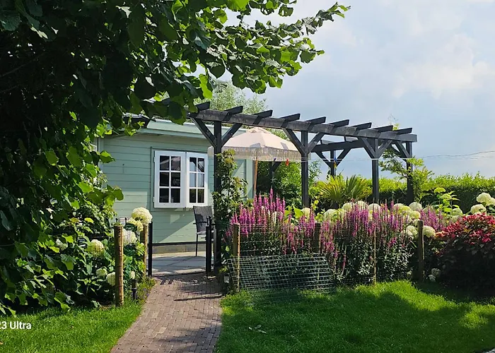 Romantisch Nabij Het Met Uitzicht Op De Tulpenvelden