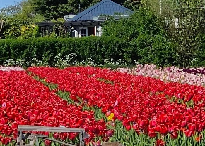 Romantisch Nabij Het Met Uitzicht Op De Tulpenvelden Casa vacanze Julianadorp