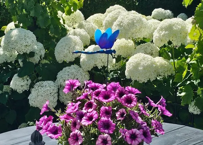 Romantisch Nabij Het Met Uitzicht Op De Tulpenvelden Casa vacanze