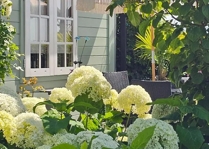 Romantisch Nabij Het Met Uitzicht Op De Tulpenvelden Casa vacanze Julianadorp