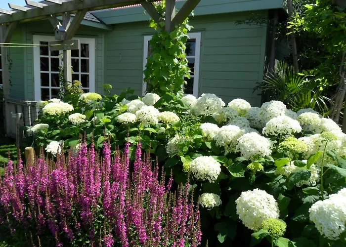 Romantisch Nabij Het Met Uitzicht Op De Tulpenvelden