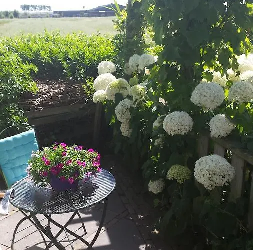 Romantisch Nabij Het Met Uitzicht Op De Tulpenvelden * Julianadorp