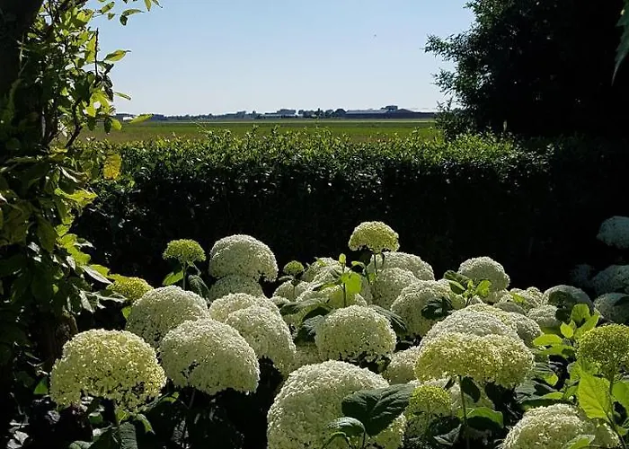 Romantisch Nabij Het Met Uitzicht Op De Tulpenvelden Casa vacanze Julianadorp