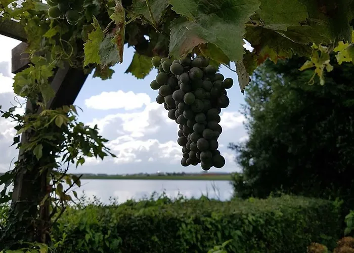 Casa vacanze Romantisch Nabij Het Met Uitzicht Op De Tulpenvelden